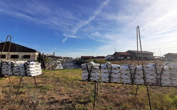 Terrain à vendre    Gujan-Mestras