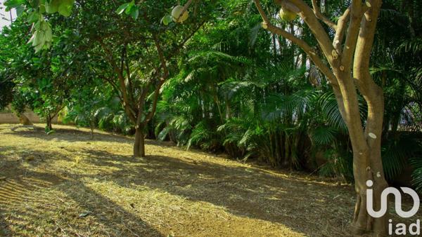 Maison à vendre 6 pièces 155 m² Saint-Pierre