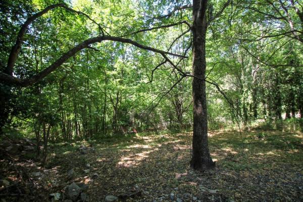 Vente / Terrain constructible à Montbrun-les-Bains (26570)
