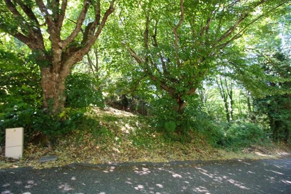 Vente / Terrain constructible à Montbrun-les-Bains (26570)