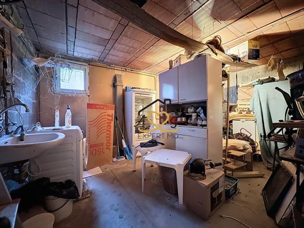 Puy-Guillaume (63290) Maison avec grand terrain arboré et étang – 7 025 m² – Puy-Guillaume (lieu-dit Le Pas)