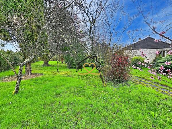 Puy-Guillaume (63290) Maison avec grand terrain arboré et étang – 7 025 m² – Puy-Guillaume (lieu-dit Le Pas)