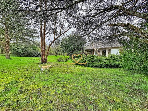 Puy-Guillaume (63290) Maison avec grand terrain arboré et étang – 7 025 m² – Puy-Guillaume (lieu-dit Le Pas)