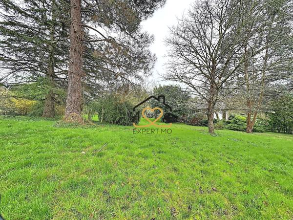 Puy-Guillaume (63290) Maison avec grand terrain arboré et étang – 7 025 m² – Puy-Guillaume (lieu-dit Le Pas)