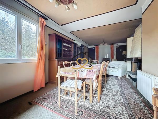 Puy-Guillaume (63290) Maison avec grand terrain arboré et étang – 7 025 m² – Puy-Guillaume (lieu-dit Le Pas)