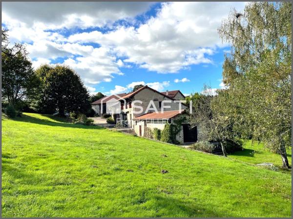 Maison de pierre avec piscine et dépendances