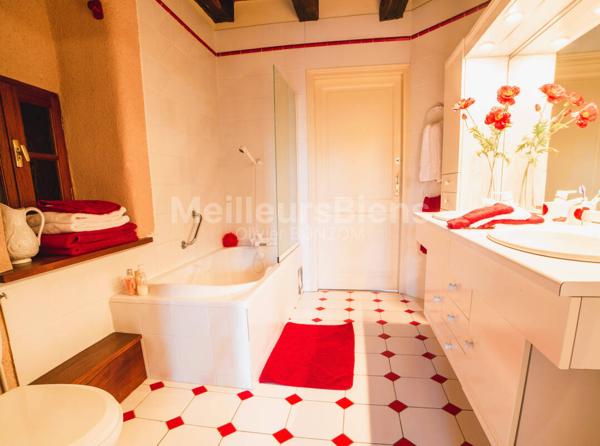 Vente à terme libre Maison d'hotes en pierre / Wonderful holiday stone home