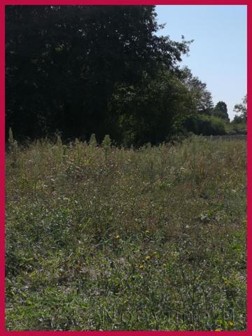 Terrain à bâtir Viabilisé