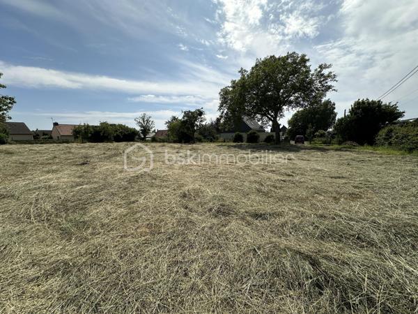 Terrain de 3 000 m²