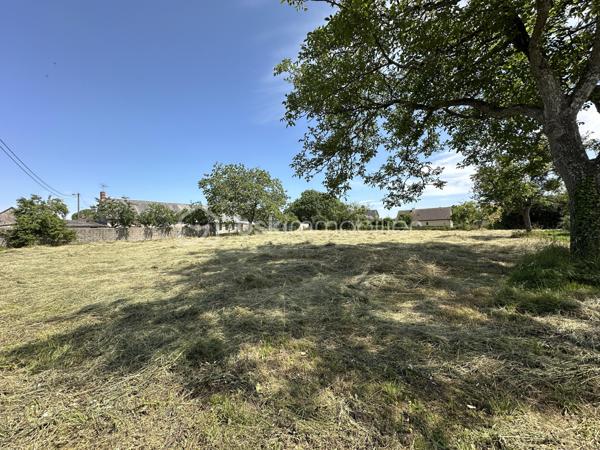 Terrain de 3 000 m²