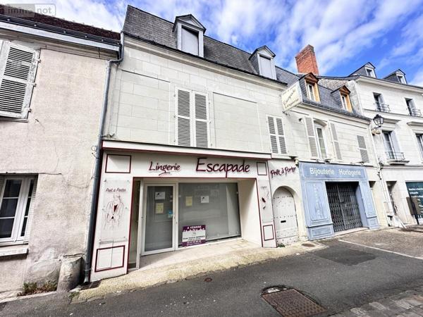 Fonds et/ou murs commerciaux à vendre à Sainte-Maure-de-Touraine dans l'Indre-et-Loire (37800), ref : 37072-666