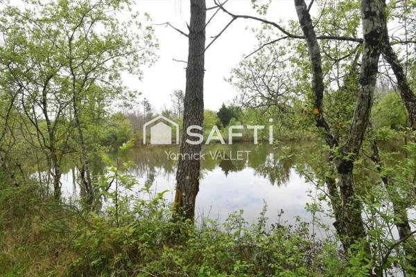 Joli domaine à Vendre à Vanxains (24600)