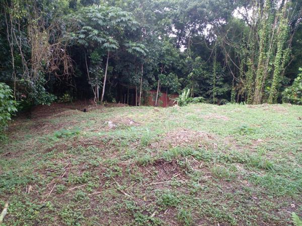 Beau terrain au Gros Morne de 1577m² secteur campagne