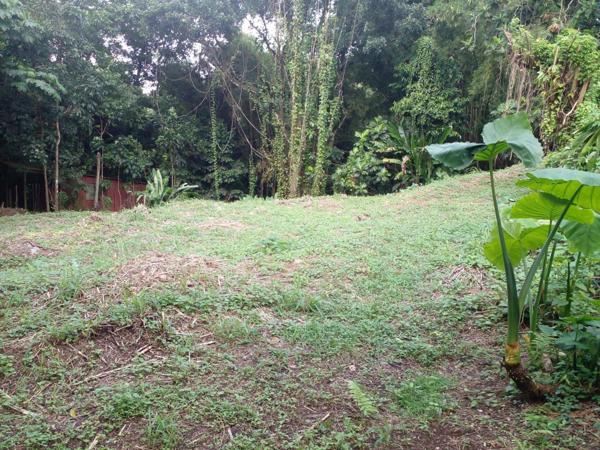 Beau terrain au Gros Morne de 1577m² secteur campagne