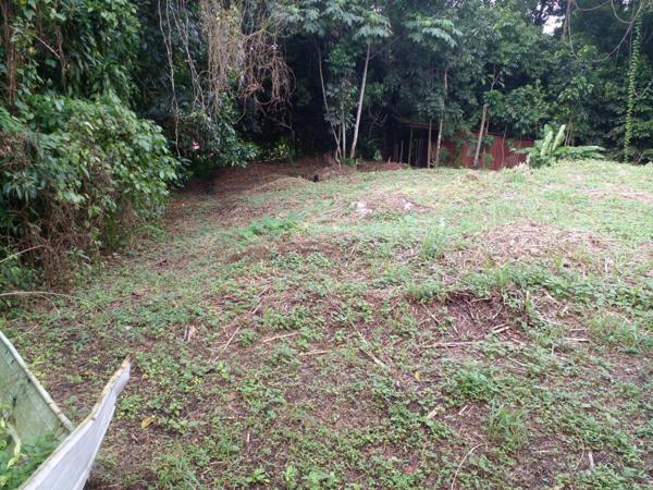 Beau terrain au Gros Morne de 1577m² secteur campagne