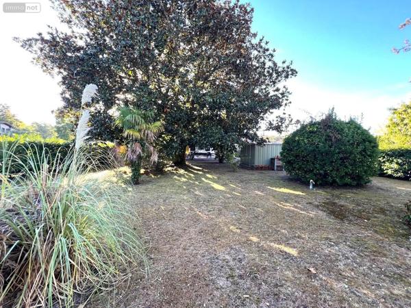 Achat - Maison | Maison individuelle Mézos 40170 5 pièces 116 m 2 1070 m 2