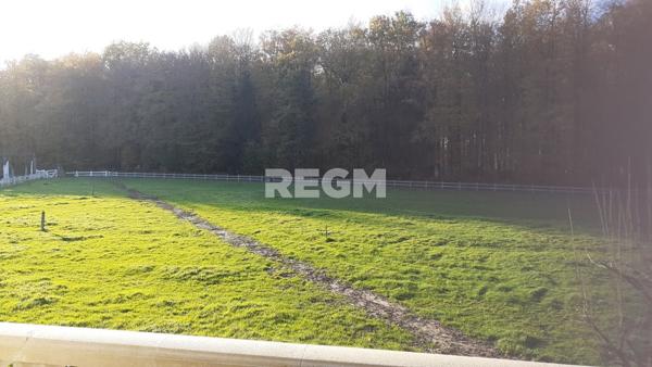 Fougères (35300) Maison de prestige en forêt