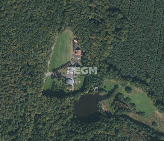 Fougères (35300) Maison de prestige en forêt