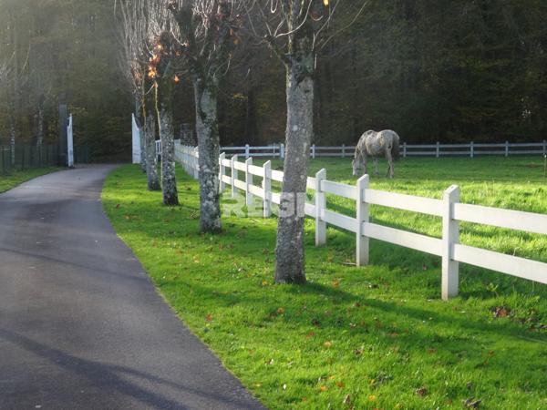 Fougères (35300) Maison de prestige en forêt
