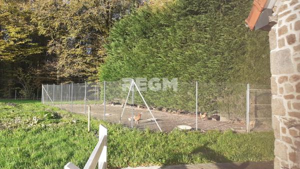 Fougères (35300) Maison de prestige en forêt