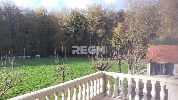 Fougères (35300) Maison de prestige en forêt