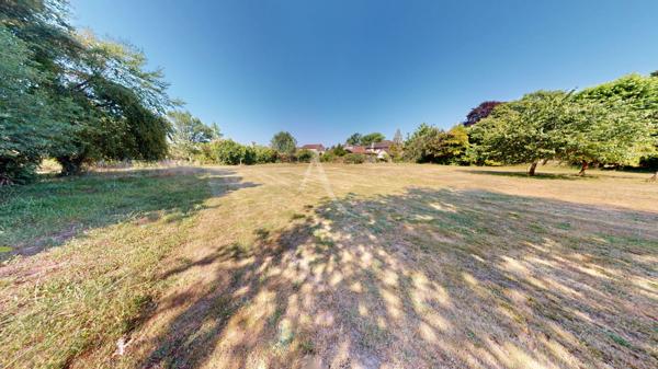 Maison de caractère à rénover. Centre-bourg 330,31 m² habitables sur 17 958 m² de terrain