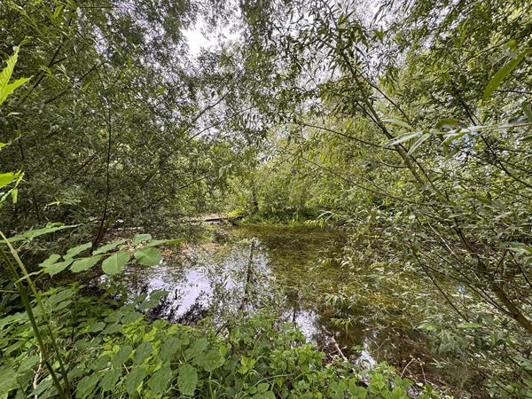 ETANG - 9672 m2 Chaussoy Epagny