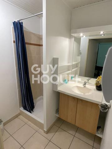 APPARTEMENT T4 DUPLEX MEUBLE - TOURNEFEUILLE CENTRE