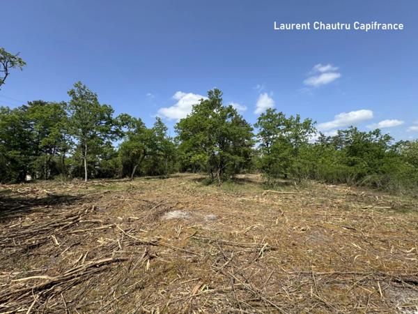 Terrain à vendre BASSILLAC ET AUBEROCHE (24)