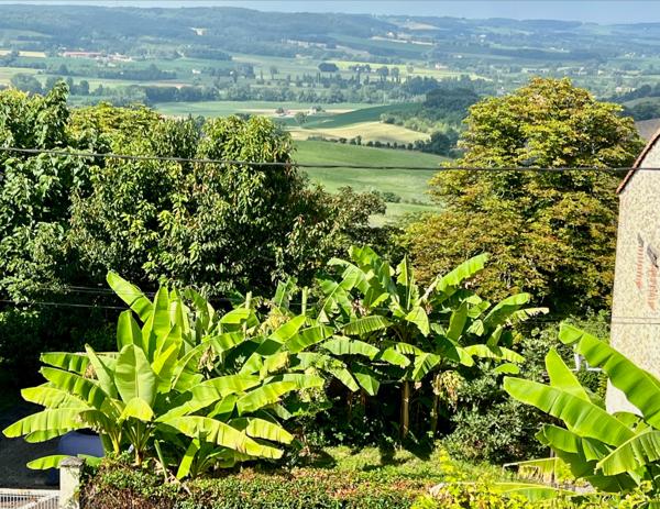 Proche de Castelmoron sur Lot, au coeur d'une bastide du XIII° siècle, superbe maison bourgeoise d'environ 329 m² avec cour intérieure et piscine.. Si vous êtes sensibles au charme des vieilles pierres, à la hauteur sous plafond, aux grands volumes, aux r , Monclar