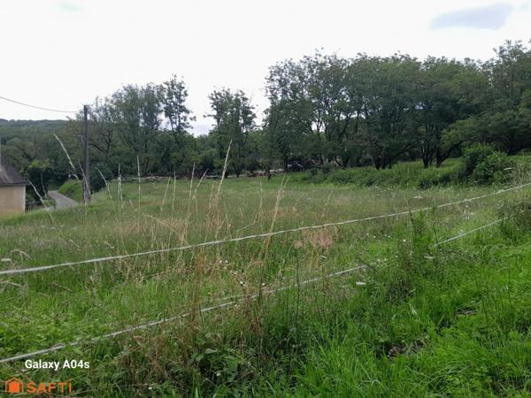 Terrain en partie contructible arboré de noyers