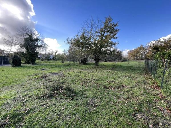 Terrain à batir 598 m² libre de constructeur - LEOGNAN