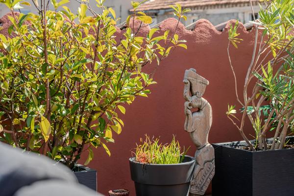 Lumière, terrasse et vue panoramique au coeur de L’Isle-sur-la-Sorgue