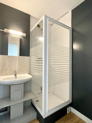 Appartement T4 meublé à Laval 65.52 m2
