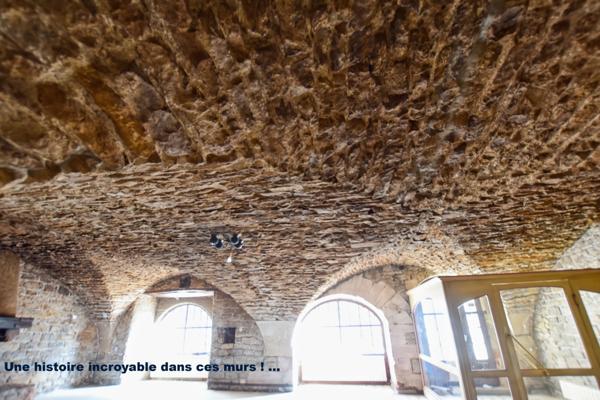 Maison historique du XII ème siècle de 471 m2, avec partie commerce à COUCHES 71 en BOURGOGNE