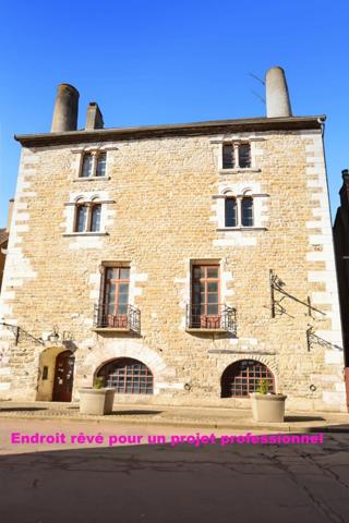 Maison historique du XII ème siècle de 471 m2, avec partie commerce à COUCHES 71 en BOURGOGNE