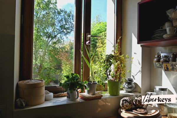 BIEN UNIQUE - 3 pièces 40m² - DPE D - jardin, parking, cave, local vélo