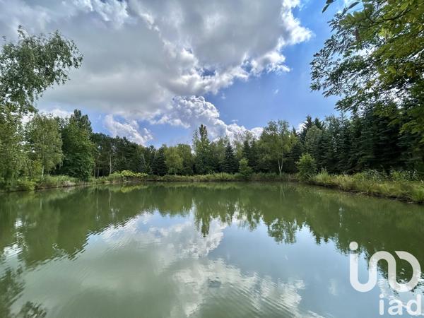 Terrain à vendre 10 393 m² Pernant