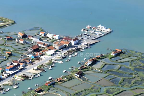 Maison à vendre 4 pièces LA TREMBLADE (17)
