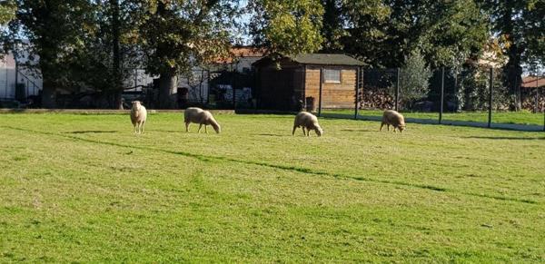 Terrain Constructible à Geste 1360 m2