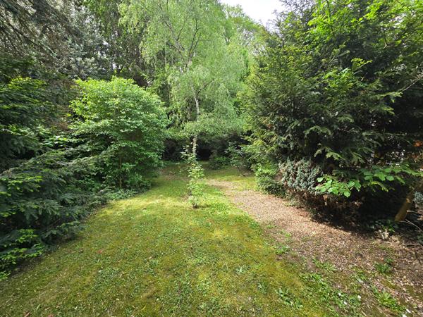 Maison familiale au coeur des arbres - à Orléans - Chambres en RDC