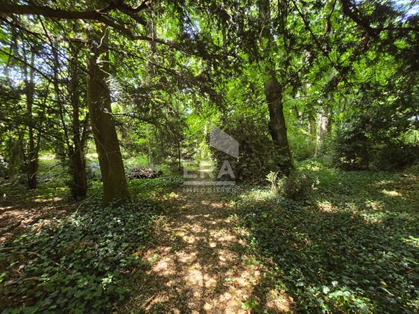Maison familiale au coeur des arbres - à Orléans - Chambres en RDC