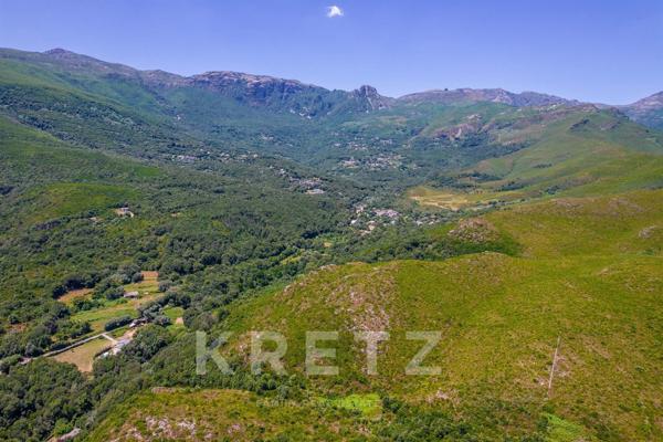 Villa de 253m2 entouré de nature avec 2 appartements indépendants, jardin arboré et piscine