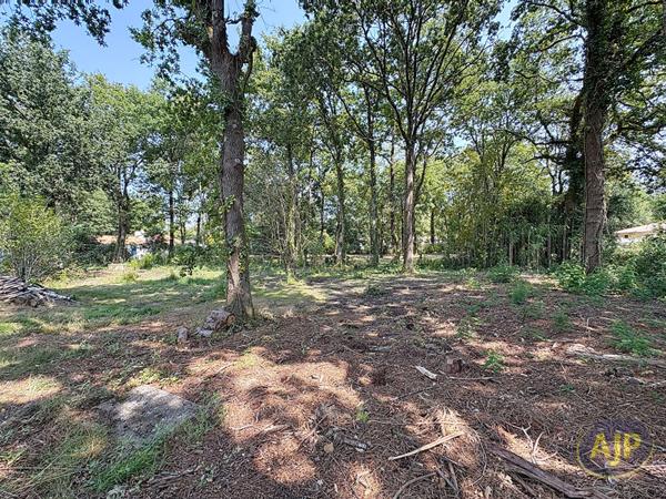 Vente terrain Soullans : 73 830 € - AJP Immobilier Challans