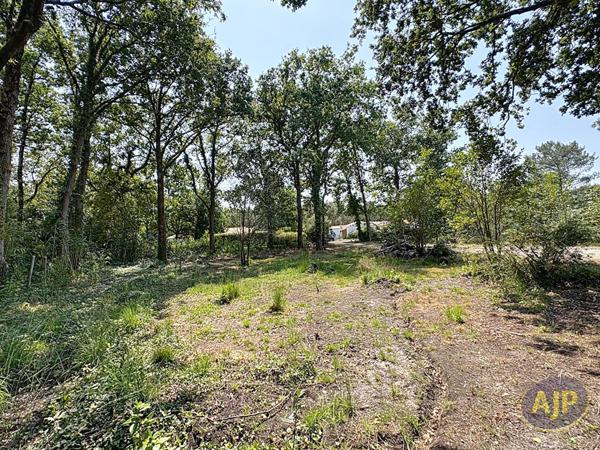 Vente terrain Soullans : 73 830 € - AJP Immobilier Challans