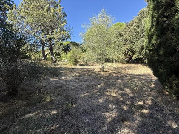 Vente                                                      Terrain
                        
                                         620 m2                     à Nébian