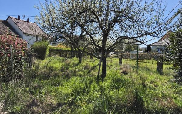 Vente Maison Wisches   