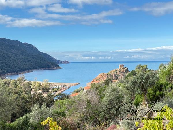 PORTO - OTA (Corse) A vendre maison en pierre, vue mer et tour de Porto, emplacement unique