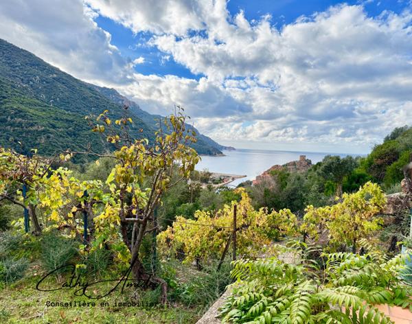 PORTO - OTA (Corse) A vendre maison en pierre, vue mer et tour de Porto, emplacement unique