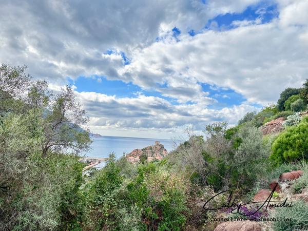 PORTO - OTA (Corse) A vendre maison en pierre, vue mer et tour de Porto, emplacement unique